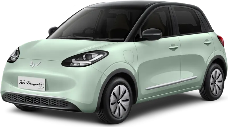 BINGUO EV rental mobil jakarta